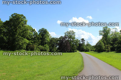 Stock image of road through the countryside, with grass, large trees