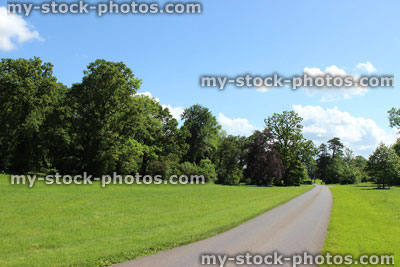 Stock image of tarmac road through countryside, with grass, large trees