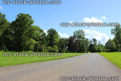 Stock image of tarmac road through countryside, with grass, large trees