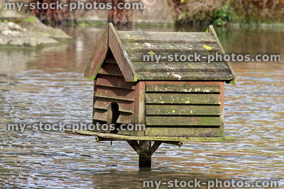 Stock image of duck house pedestal nesting box standing above lake