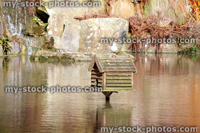 Stock image of duck house / nesting box on wooden plinth in lake