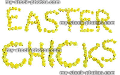 Stock image of words Easter Chicks Spelt with Fluffy Chicks