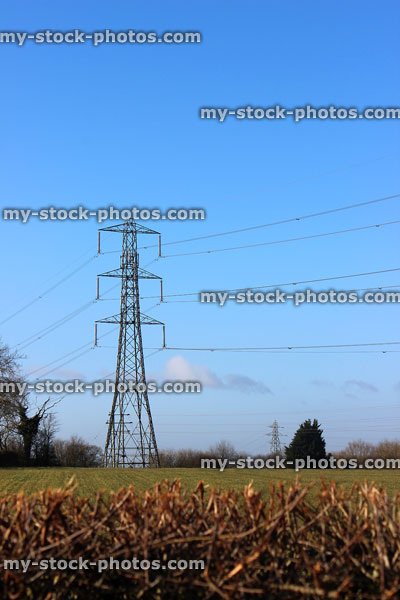 Stock image of electricity pylon / transmission tower, cage, wires, insulators, field