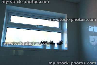 Stock image of bathroom window with line of three cactus plants