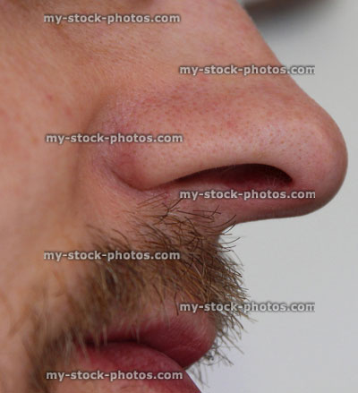 Stock image of human nose and moustache