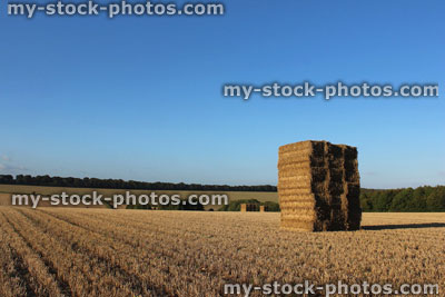 Stock image of farm field, giant stacks / towers of hay bales, straw harvest