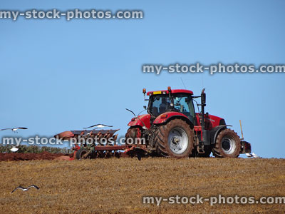 Stock image of farmer ploughing field with tractor / plough, attracting seagulls