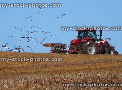 Stock image of farming driving tractor and ploughing field of corn
