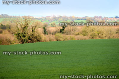 Stock image of countryside agricultural field on a sunny spring
