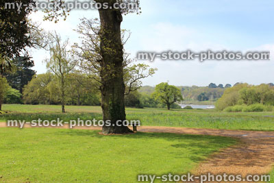 Stock image of green grass field with estuary river in distance 