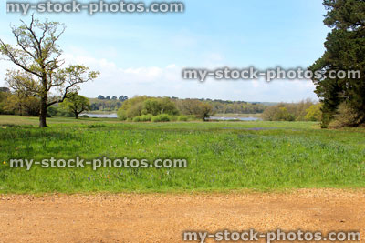 Stock image of wildflower meadow field with distant river and trees