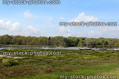 Stock image of estuary that has recently flooded, with boggy river banks 