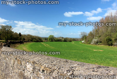 Stock image of stone wall and green field surrounded by countryside