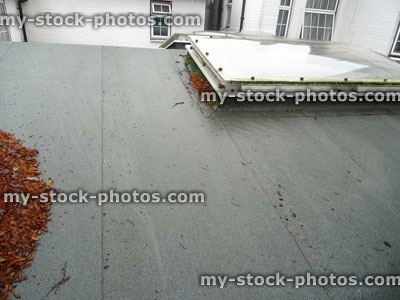 Stock image of wet felt flat roof, bowed skylights / rooflight windows, leaves