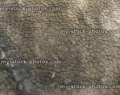 Stock image of cracked tar flat roof in need of repair