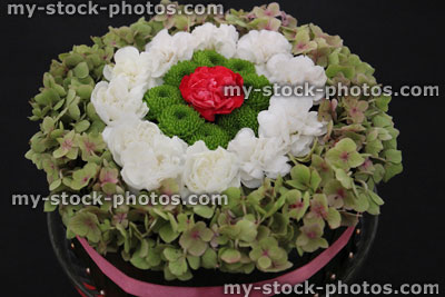 Stock image of floral arrangement, pink white carnations / dianthus, green sempervivums