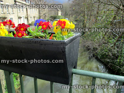 Stock image of colourful springtime primroses on bridge above river