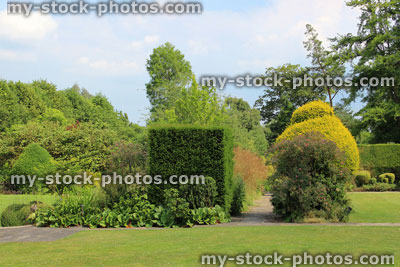 Stock image of landscaped knot garden, topiary yew, clipped buxus hedges