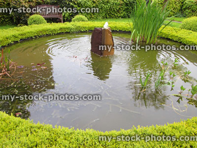Stock image of formal garden with buxus hedge, topiary, pond, fountain