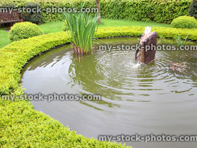 Stock image of formal garden with buxus hedge, topiary, pond, fountain