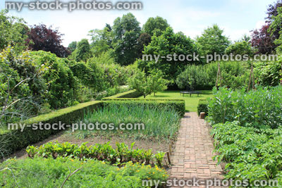 Stock image of ornamental vegetable garden / walled kitchen garden, block paved brick pathway