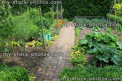 Stock image of ornamental vegetable garden / walled kitchen garden, fruit cages