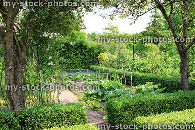 Stock image of ornamental vegetable garden / walled kitchen garden, apple trees