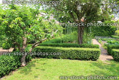 Stock image of orchard and ornamental vegetable garden / walled kitchen garden