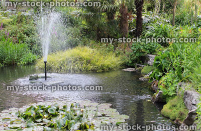 Stock image of garden pond with fountain, water lilies, flowers