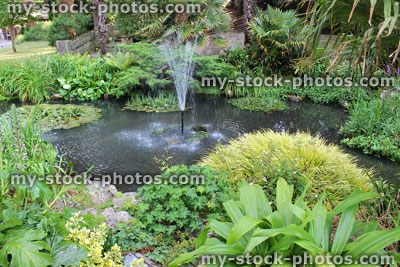 Stock image of garden pond with fountain, water lilies, flowers