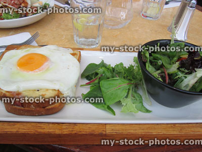 Stock image of ham and melted cheese sandwich, fried egg, salad, lunch