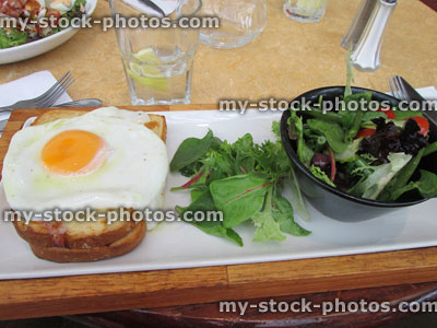 Stock image of ham and Gruyere cheese sandwich, fried egg, salad, lunch