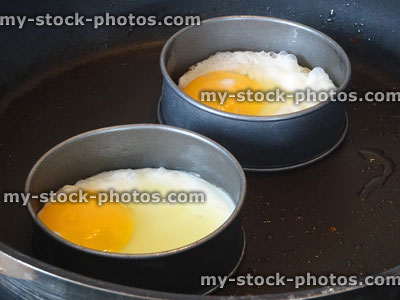 Stock image of two fried eggs in frying pan, metal egg rings