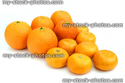 Stock image of fresh oranges and satsumas, isolated on white background