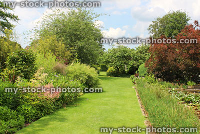 Stock image of garden lawn pathway with herbaceous border flowers, astilbes