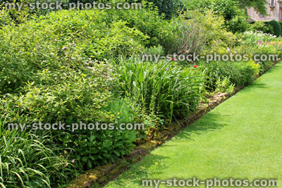 Stock image of garden lawn pathway with herbaceous border flowers, astilbes