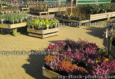 Stock image of view across a garden centre, raised plant displays