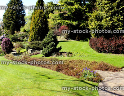Stock image of conifer garden with pathway, trees and lush lawn