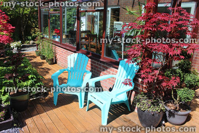 Stock image of blue plastic patio Adirondack chairs, garden decking, red maple