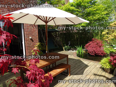 Stock image of garden decking with table and benches, cream parasol, red maples