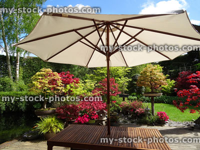 Stock image of garden table with cream parasol umbrella, maples, green lawn