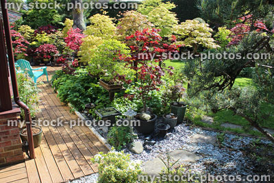 Stock image of back garden with decking, slate mulch, maples, chairs