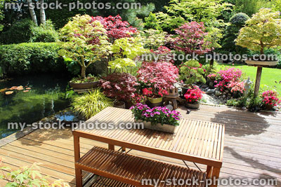 Stock image of contemporary wooden table / benches, garden furniture, decking, pond