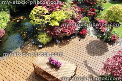 Stock image of garden decking from above, koi pond, Japanese maples