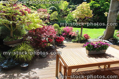 Stock image of wooden garden furniture, decking, lawn and Japanese maples
