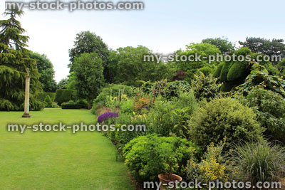 Stock image of green garden lawn, shrubs, herbaceous border flowers, cedar