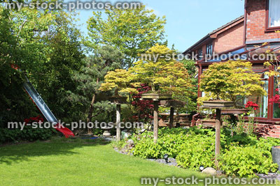 Stock image of garden lawn with bonsai trees growing on plinths