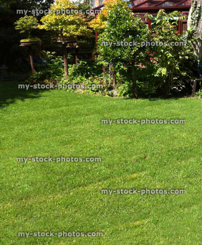 Stock image of newly turfed garden lawn with lines, green grass