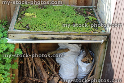 Stock image of timber log shed with living roof of sedum plants