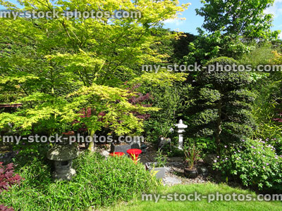 Stock image of Japanese cloud tree (holly / ilex), maples, lanterns, oriental garden